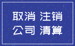 深圳公司注销 网上