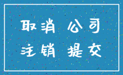 公司注销登报期间还用正常报税吗