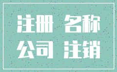 分公司注销后还能再设立么