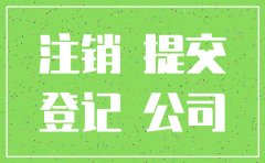 申请注销公司请示报告