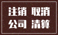 子公司公司注销流程