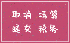 提交税务机关的公司注销报告