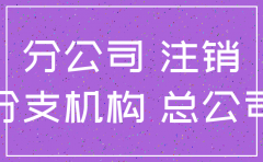 总公司注销分公司担保证明