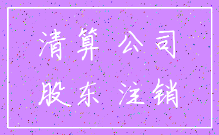 清算 公司_股东 注销