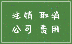有限责任公司注销的流程6