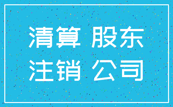 清算 股东_注销 公司