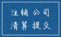 自然人独资公司注销该起诉谁