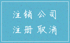 公司管理条例注销