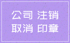 只做公司注销流程