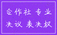 自然人有限公司注销决议样本