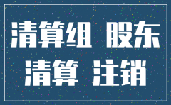 注销子公司需要董事会审议