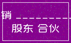 注销公司股东会会议纪要