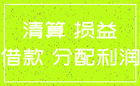 清算 损益_借款 分配利润