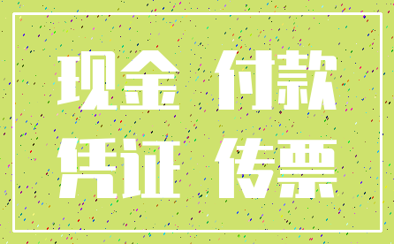 现金 付款_凭证 传票
