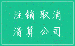 未在税局备案的分公司注销流程