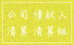 有限责任公司注销后的诉讼资格