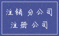 分公司税务注销能走简易流程么