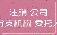 分公司不能注销的情况说明