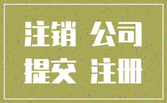 公司准备注销财务报表余额说明