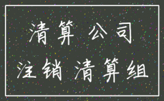 注销公司清算交什么材料