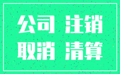 有限公司注销需要什么流程
