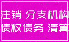 分公司注注销债权债务说明