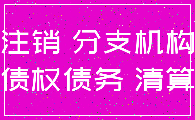 注销 分支机构_债权债务 清算