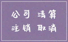 未开户公司注销流程及费用
