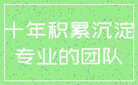 十年积累沉淀_专业的团队