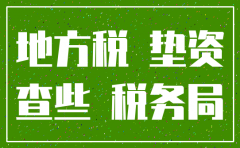 垫资10万注册公司注销处罚