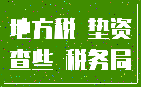 地方税 垫资_查些 税务局