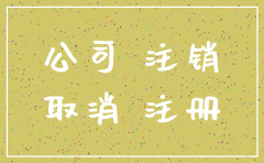公司地税注销要法人去吗