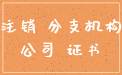 没有业务的分公司注销