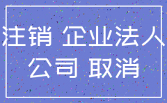 公司注销后有相关的文件吗