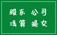 一人公司注销怎么写股东