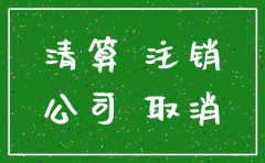 公司注销需要的情况说明