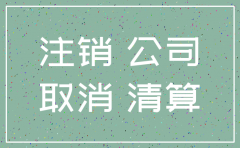 分公司注销流程6