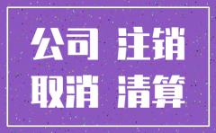 北京注销一家公司怎么办好6