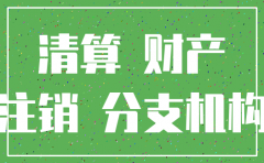 集团注销子公司的分录