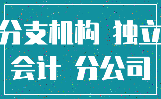 分支机构 独立_会计 分公司