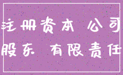 公司注销前股东的注册资本可以退回去
