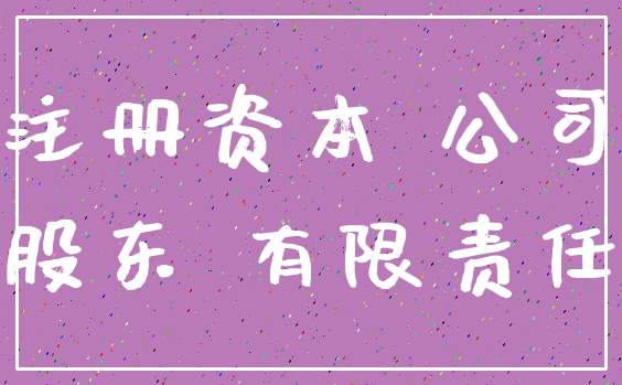 注册资本 公司_股东 有限责任