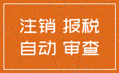 两年不审是不是自动注销公司