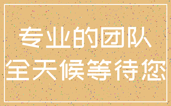 专业的团队_全天候等待您