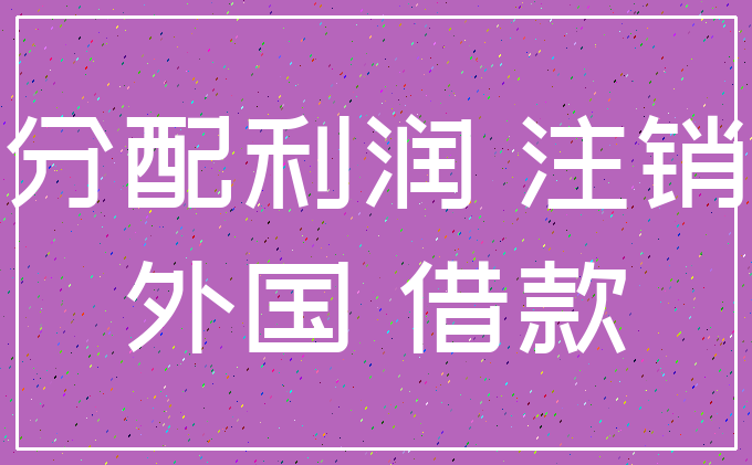 分配利润 注销_外国 借款