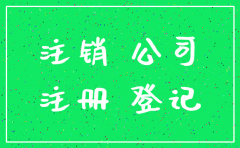 已经注销的公司可以用吗
