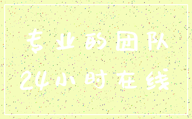 专业的团队_24小时在线