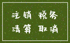 公司注销需提供给地税的决议书