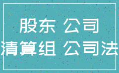 内资分公司注销董事会决议
