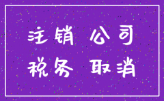 分公司非独立核算税务注销申请